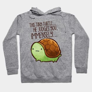 This turtle.. he judges you. Hoodie